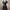 navy dress megar  photo 1