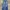 Vintage Jeans Pria blue photo 1