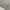 Streetwear Casual Sweatshirt Pria Gray