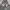 Hoodie Abu Nike Swoosh Camo Reflective photo 2