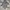Hoodie Abu Nike Swoosh Camo Reflective photo 4