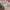 Tops babypink photo 2