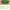 Vintage 90's NFL Team Green Bay Packers Boxyfitted Jacket photo 2