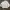 Phenix Norge Snowboard Jacket photo 6