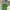 Adidas Vintage Streetwear T-shirt Pria Green