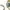 Nike Vintage Y2K Watch Pria khaki cream photo 2
