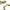 Nike Vintage Y2K Watch Pria khaki cream photo 5