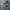Converse Chuck 70's high  photo 1