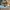 nike air jordan 1 low man   photo 1