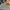 nike air jordan 1 low man   photo 4
