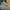 nike air jordan 1 low man   photo 5
