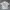 1on1 UNIQLO  GENEI RYODAN X CYBERSIGILISM White Polo Shirt