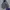 Ring Spun Craft Masive Jacket photo 1