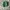 Nike Streetwear Sneakers Pria white green photo 5