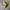 Nike Streetwear Sneakers Pria gold photo 4