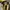 Nike Streetwear Sneakers Pria gold photo 6