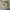 Nike Streetwear Sneakers Pria gold photo 1