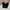 CORDUROY RELAX PANTS SPAO BLACK BASIC photo 1