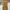 CORDUROY RELAX PANTS FATIGUE UTILITY SPAO