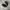 Nike Sportswear Sneakers Pria black photo 3