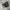 Nike Sportswear Sneakers Pria black photo 2