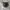 Nike Sportswear Sneakers Pria black photo 5