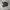 Nike Sportswear Sneakers Pria black photo 1