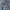 Helmut Lang Italy Classic Raw Denim photo 5