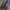 BAGGY JEANS DENIM KESSON photo 5
