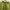 Hoodie 88rising Angel Island photo 1