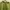 Hoodie 88rising Angel Island