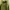Hoodie 88rising Angel Island photo 3