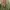 Hoodie 88rising Angel Island photo 4