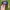 Trucker Hat Bass Pro Shops Three Tone photo 2