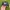Trucker Hat Bass Pro Shops Two Tone Patch photo 2
