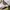 Vintage Hat Pria white black photo 2