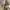 WHO.A.U Streetwear Casual Casual pants Pria khaki photo 4