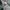 POKEMON HOLDIE OFFICIAL NINTENDO photo 6