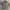 Vintage Casual Trench coat Wanita tan photo 4