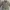 Vintage Casual Trench coat Wanita tan photo 5
