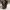 Louis Vuitton 2012 Brown Damier Ebene Cabas Rivington photo 6