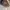 Louis Vuitton 2012 Brown Damier Ebene Cabas Rivington photo 5