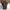Louis Vuitton 2012 Brown Damier Ebene Cabas Rivington photo 7