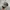 REALTREE AIR EVAC LIFETEAM BY MOWEAR USA photo 1