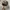 REALTREE AIR EVAC LIFETEAM BY MOWEAR USA photo 2