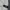National Geographic Gorpcore Fleece Pria white photo 2