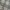 Burberry Y2K Luxury Skirt Wanita tan cream photo 5