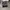 Burberry Y2K Luxury Skirt Wanita tan cream photo 4