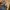 Olivia Burton Luxury Wanita gold blue photo 3