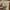 Olivia Burton Luxury Wanita gold blue photo 1